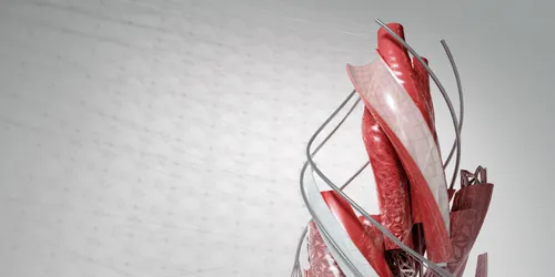 Resim: AutoCAD Nasıl Yüklenir?