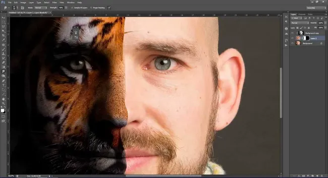 FOTO: Grafik Tasarım Programları