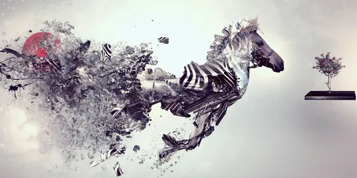 Resim: Grafik Tasarım Programları