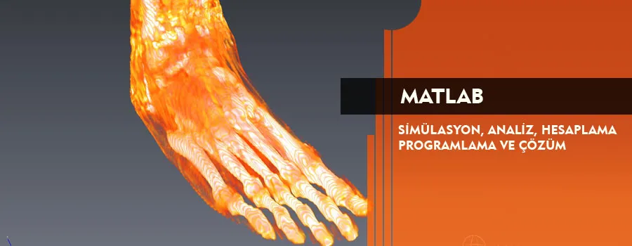 Foto: Matlab Eğitimi